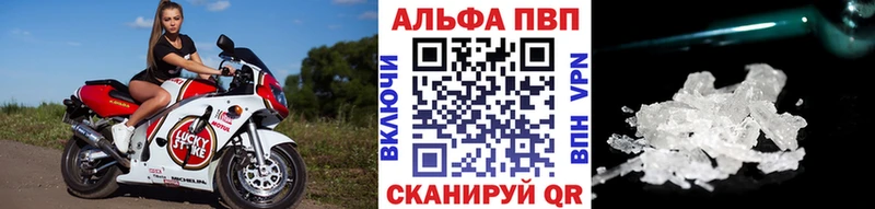 APVP СК  Шенкурск 