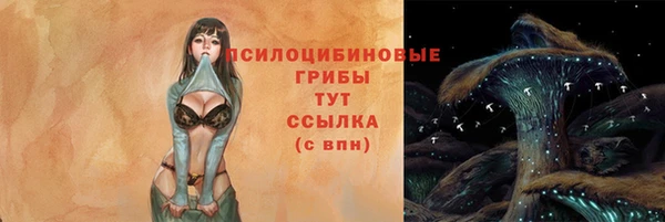 гидра Абаза
