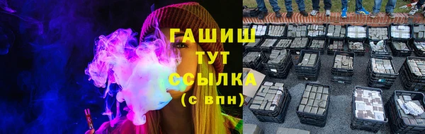 гидра Абаза