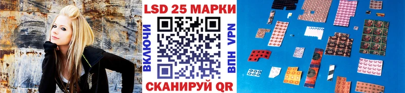 Наркотические марки 1,8мг  hydra как зайти  Шенкурск 
