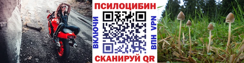 Псилоцибиновые грибы GOLDEN TEACHER  Шенкурск 
